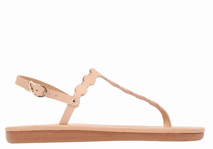 Sandales Bride Arrière Ancient Greek Sandals Velos Flip Flop   | AXV-8825263